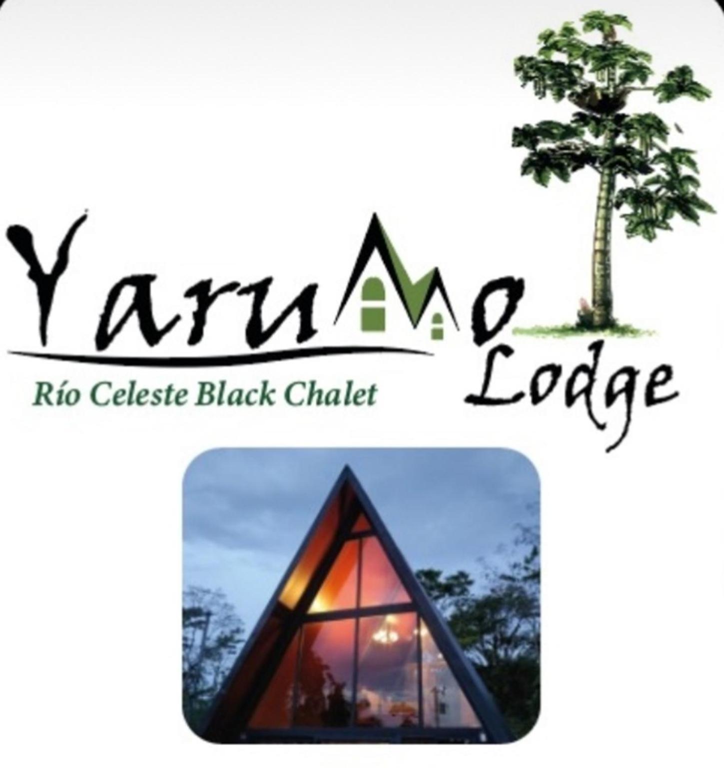 Yarumo Lodge, Rio Celeste Black Chalets Bijagua Exterior photo